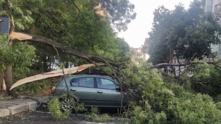 Над 20 сигнала заради силния вятър във Варна