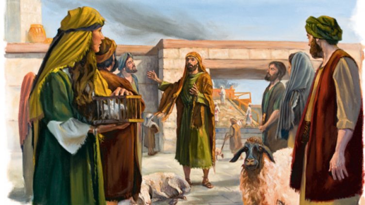 На Ирминден се предпазваме от змии