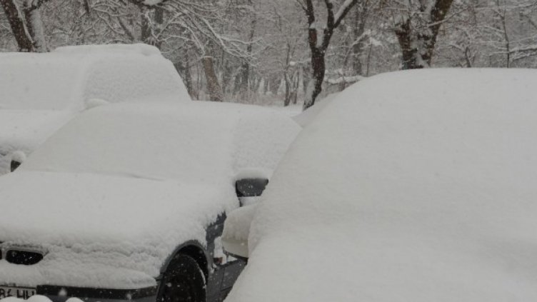 103 снегорина чистят новия сняг в София