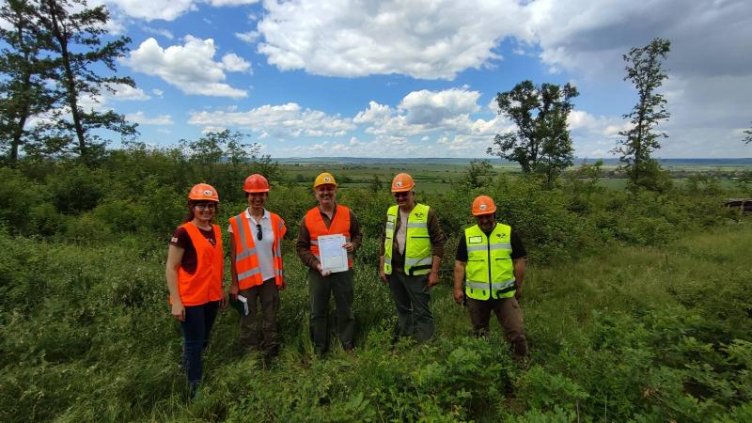  За първи път в Европа: Използват биомаса от горите в Североизточна България за производство на енергия