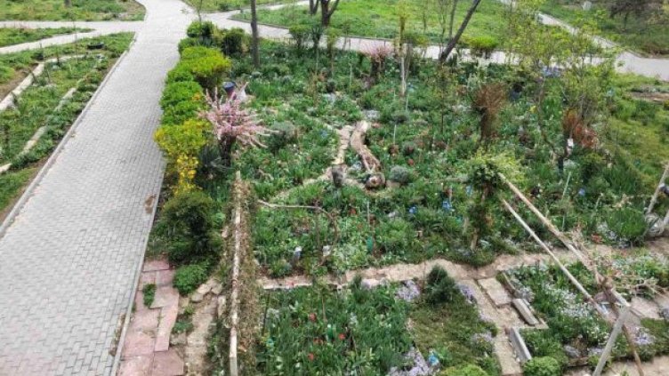 Вече има кандидати за най-красиво поддържана градинка във Варна