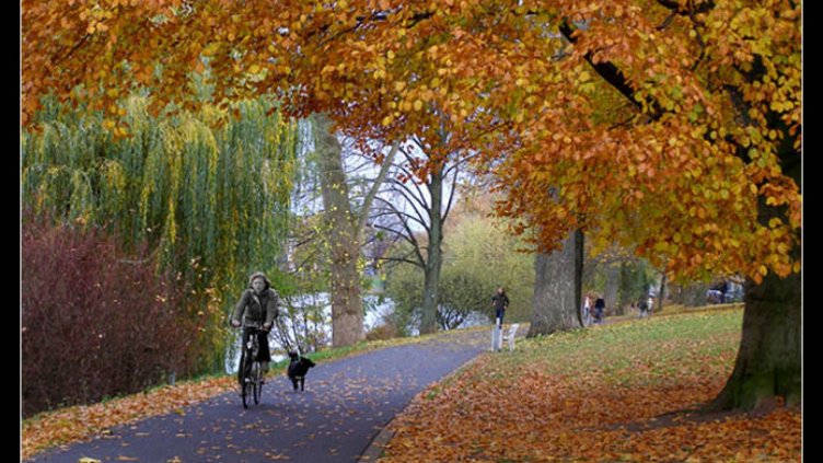 Слънчево, но се очаква силен североизточен вятър