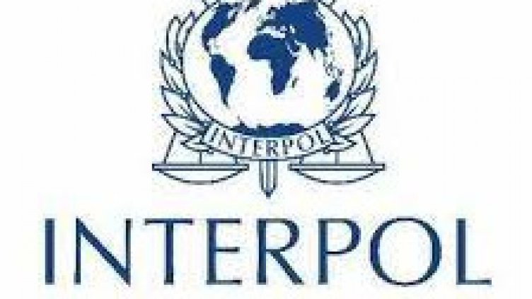 Французин е новият шеф на Интерпол