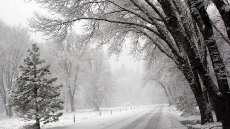 Снимката е илюстративна.