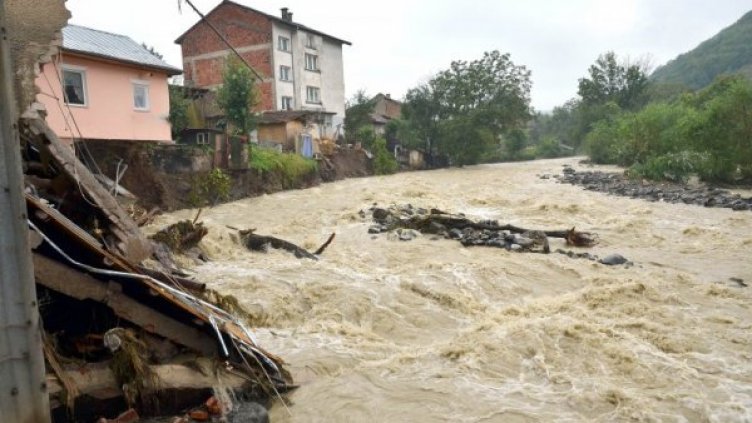 След пороя в Берковица: Наводнени къщи и удавени животни