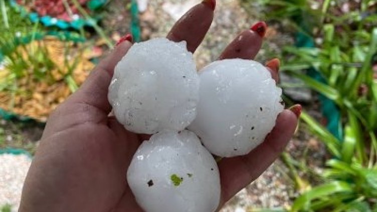 Градушка колкото яйце опустоши земеделски площи в Симеоновград