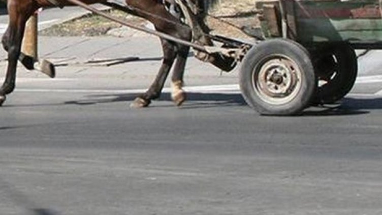 19-годишен задигна акумулатори на коли и... каруца във Варненско