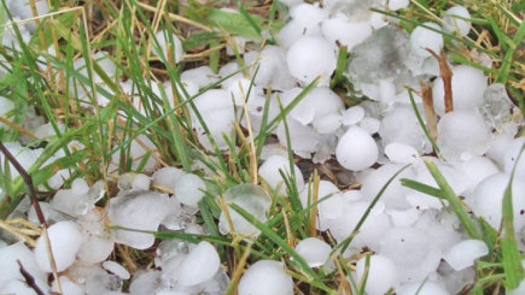 Сформирани са комисии за оценка на щетите от градушката в Карлово и Нова Загора