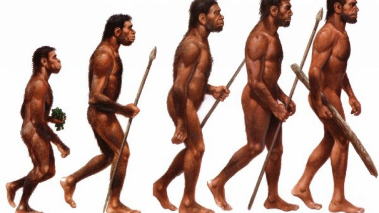 Международен ден на еволюцията