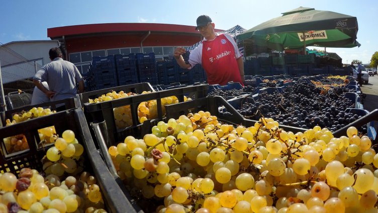 снимки: Пламен Гутинов