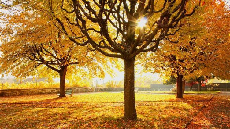 Слънцето се завръща