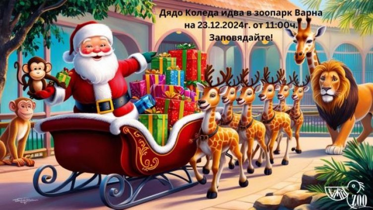 Зоопаркът във Варна ще посрещне Дядо Коледа