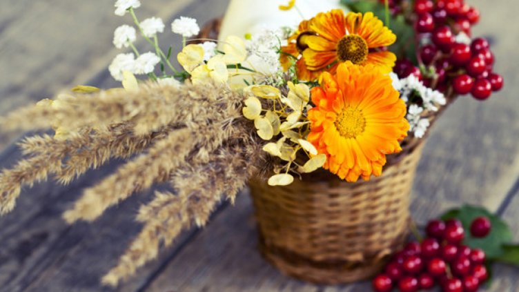 Днес имен ден празнува Сергей