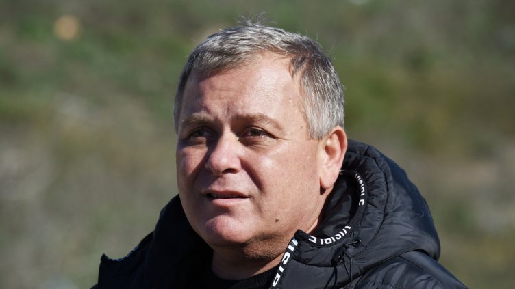 Ухапаните от бездомни кучета във Варна намаляват