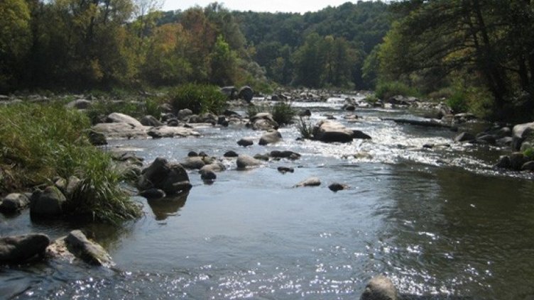 Мръсни води от депо за боклук убили рибата в Тунджа