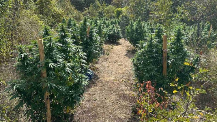 Снимка: ОДМВР-Варна