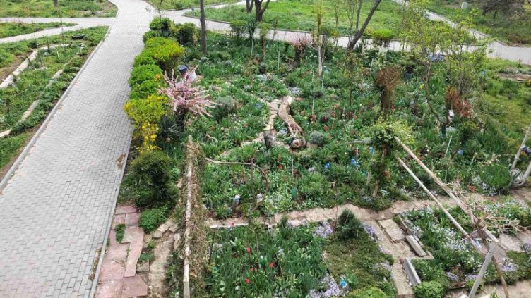 С конкурс: Търсят най-красивата междублокова градинка във Варна