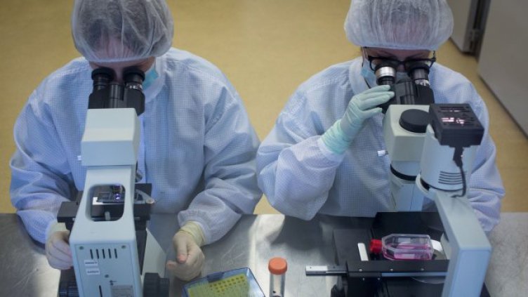 Хора, преживели зараза от комари, развиват имунитет към Ковид-19