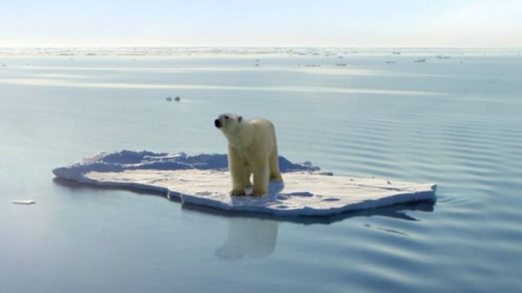 Температурите на Северния полюс с рекорд за Коледа 