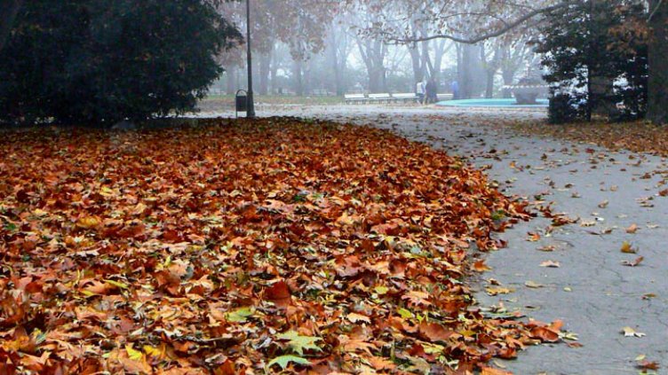 Облачно, но без валежи над Варна