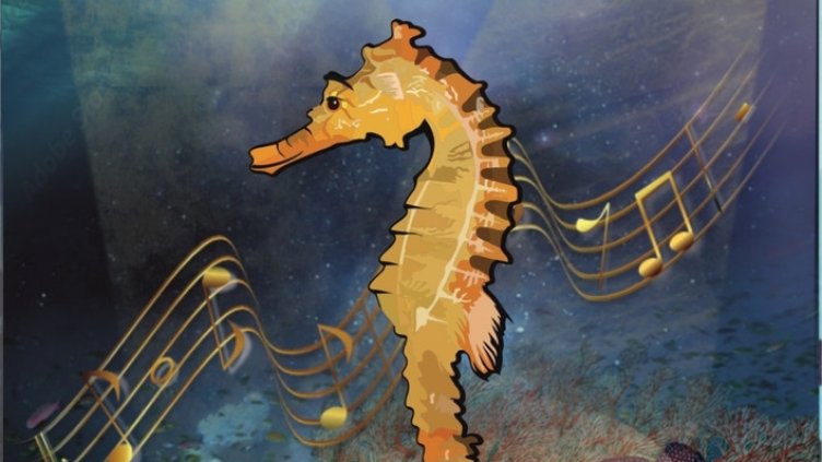 Започна 16-ото издание на Националния конкурс „Морско конче“ във Варна