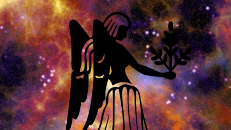 Каква е мисията в живота на всяка зодия? (Дева)