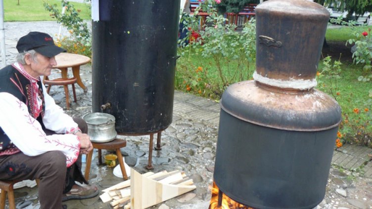 Фестивал на сливата и троянската сливова ракия