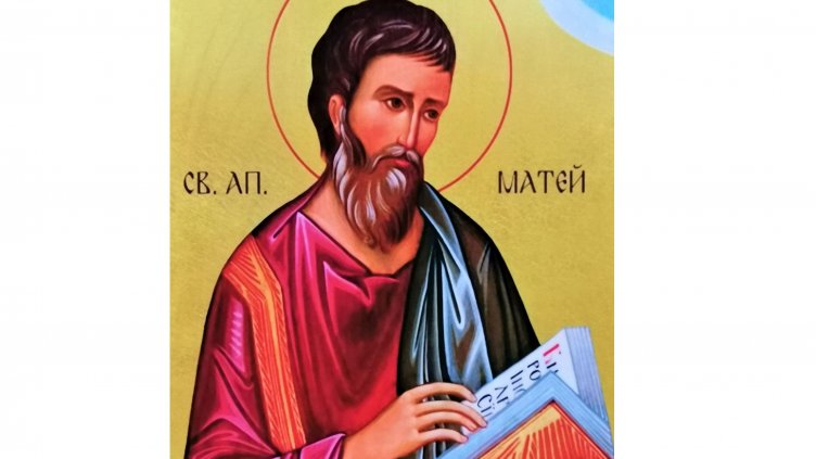 НАП отбелязва професионалния си празник