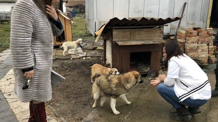 Виц на деня - 31 май 2020