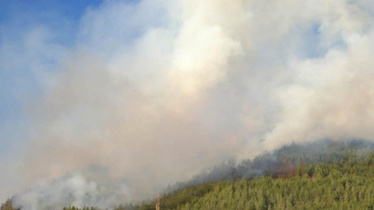 Пожар бушува в защитена местност край Тутракан