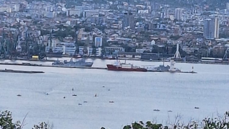 "Кал" от сафрид! Черноморската риба подрани тази година (ВИДЕО)