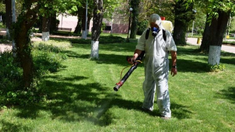 Започва пръскане срещу комари във Варна