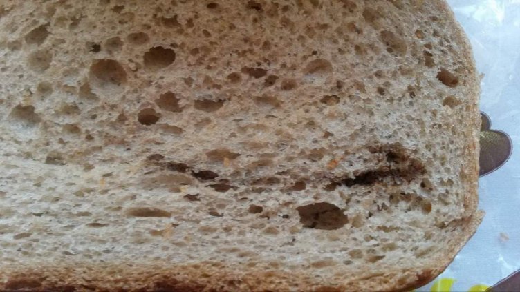 снимки: читател