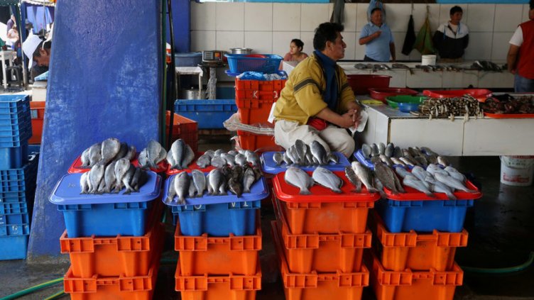 За 16 години е наложен мораториум върху риболова в Арктика