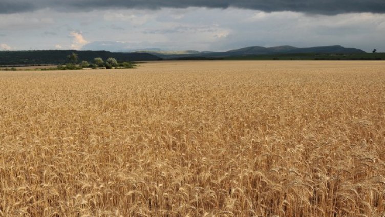 Кръпките в поземленото законодателство