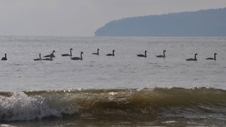 Понеделник започва с разкъсана облачност и малко дъжд