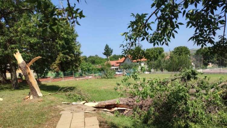 Обявиха частично бедствено положение в Бяла Слатина