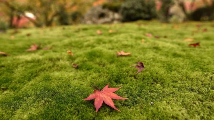 Времето днес - слънце и дъжд