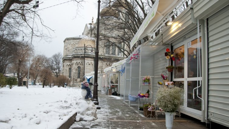 Студът прибра цветарите във Варна