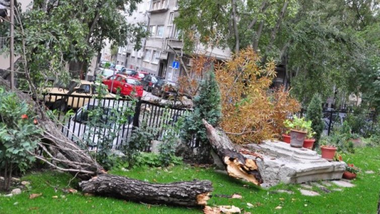 Обявиха жълт код в 20 области заради силен вятър