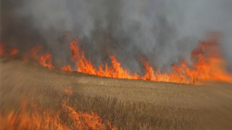 Изгоря житен блок край Пловдив