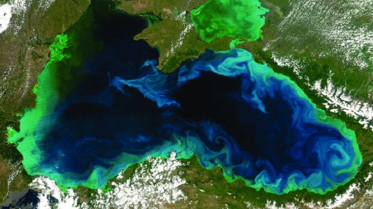 Oтбелязваме Международния ден на Черно море