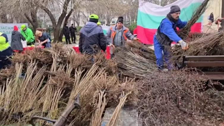 Раздадоха 1000 дръвчета във Варна (ВИДЕО)