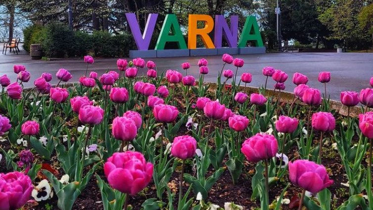 130 семейства мерят сили в първия семеен спортен празник &bdquo;Варненче&ldquo; 2026
