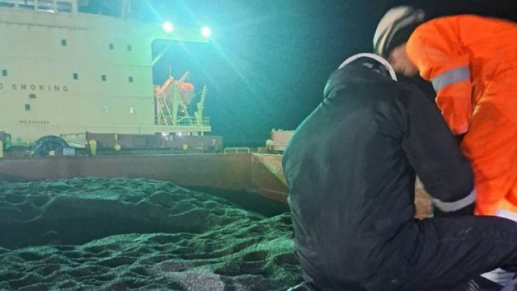 Четвърти кораб със слънчоглед, с пестициди, пристигна във Варна от Аржентина