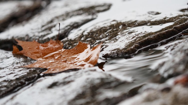Времето във Варна днес: Ще има чести превалявания от дъжд 
