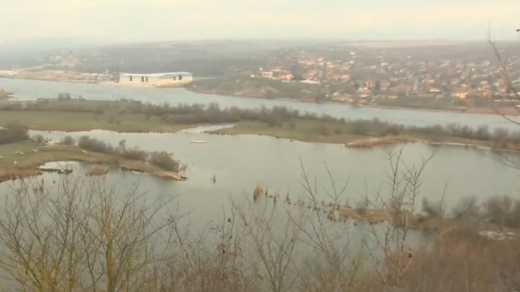 Броят водолюбивите птици край Варна