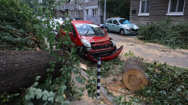 Среднощна буря помете Кюстендил