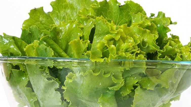 Вносната салата бъкана с нитрати