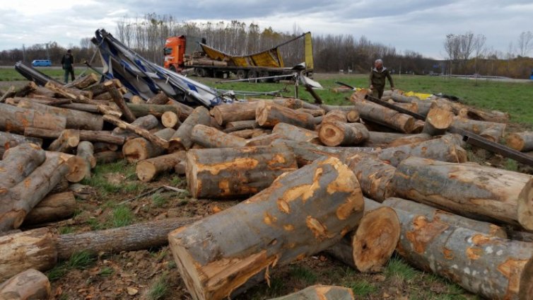 Тир с пиян шофьор разпиля трупи на Околовръстното във Враца